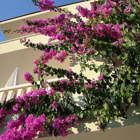 Apartments Villa Cizmic Baska Voda Exterior photo