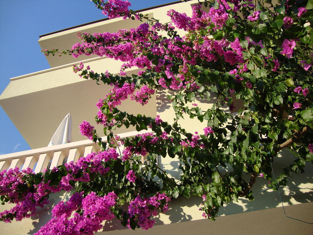 Apartments Villa Cizmic Baska Voda Exterior photo