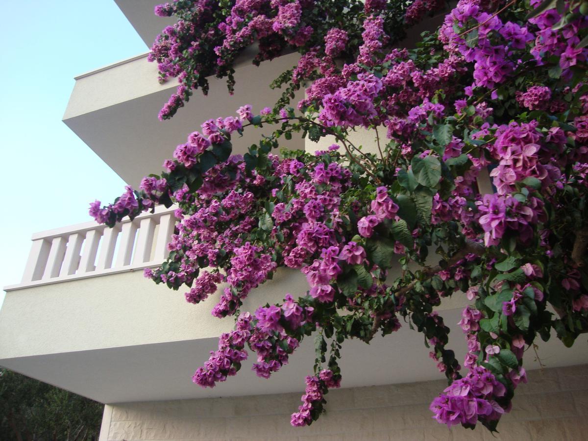 Apartments Villa Cizmic Baska Voda Exterior photo